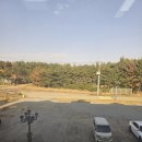 5-아일랜드펜션 | 태안 씨투아일랜드펜션 해루질 펜션 내돈내산후기 가성비코스