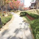 도안더샵공인중개사사무소 이미지