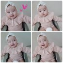 예블리콩 이미지