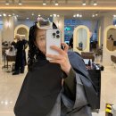 보라헤어 | 서면 전포 미용실 하이브헤어 보라 원장님 중단발 히피펌 후기(강추)