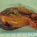 속편한권내과의원 이미지