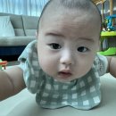 YWCA 어린이집 | 내돈내산 대전 베이비시터 업체 사용후기, 좋은 이모님 만나는 방법