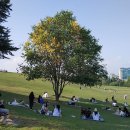 올림픽공원 이미지