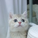 (주) 정글스토리 이미지