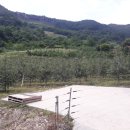 충주 행복한 농장 이미지