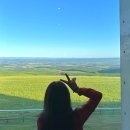 고원목장(2) 이미지