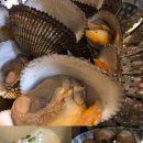 타잔노래연습장 이미지