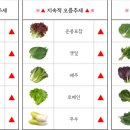 부산유통 이미지