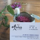 옛한우