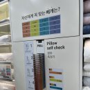 천안두정동 경추측정으로 맞춤베개 슬립앤슬립