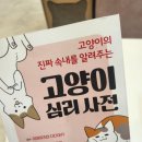 멜로우캣살롱 이미지