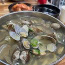 바지락듬뿍칼국수 티스토리