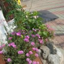 우리이용소 이미지