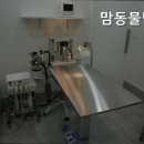 편안한 동물병원 이미지