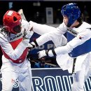 월드태권도 이미지