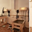 애견매니아 이미지