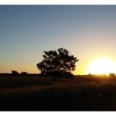 장기 주유소 화장실 이미지