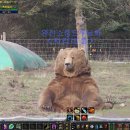 애드온 이미지