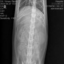 24시 글로리 동물병원 이미지