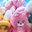 찌꼬뽀꼬 대전점 이미지