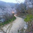 마실휴양농원 네이버블로그