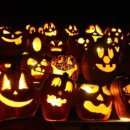 레드스타필드 휘트니스 이미지