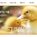 (주)다솔 이미지