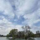 한티불낙식당 이미지