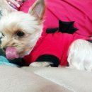 멍굴멍굴 이미지