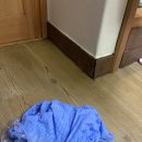 가고파세탁 이미지