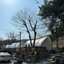 청계산골든밸리가족캠핑장 - 청계산 당일 글램핑장 내돈내산 후기 추천