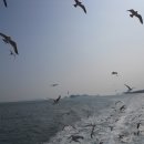 외연도마을회관 이미지