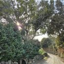 윤서네펜션 이미지