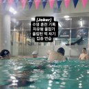 스윔(SWIM)21 | [ Joker ] 수영 훈련팀 일지 | 자유형 물잡기 + 플립턴 벽 차기 집중 연습