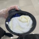 대전 관평동 미용실 물광염색 후기 : 시엘헤어 (다온쌤추천)