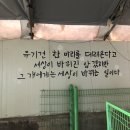 화요일 이야기) 벽화 색바꾸기 / 화보찍은 댕댕이들 이미지