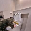 한빛마을5단지 캐슬앤칸타빌 이미지