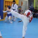 조한태권도장 이미지