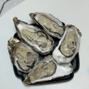 노량진 언니들 | 노량진수산시장 부건꽃게 삼베체굴 바위굴 후기｜1kg 15,000원 생굴 직접 먹어본 솔직 후기🦪