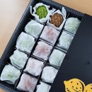 레인보우팜 이미지