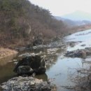 천년가요
