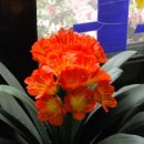 이모네세탁소 이미지