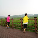 화랑유원지_경기도미술관주변 이미지