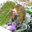 진선미광고 이미지