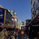 중앙4길 | 남대문시장 갈치 골목 중앙갈치식당 갈치조림 맛집 후기