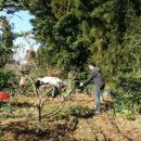 김정환농장 이미지