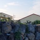 회수동-5 이미지