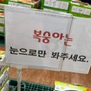 용진 티스토리