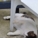 곰솔농장 이미지