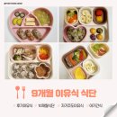 9개월 아기 후기이유식 자기주도이유식 식단 아기 간식 메뉴